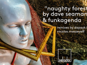 Dave Seaman & Funkagenda – Naughty Forest (Dapayk & Nicolas Masseyeff Remixes) [Selador Recordings]