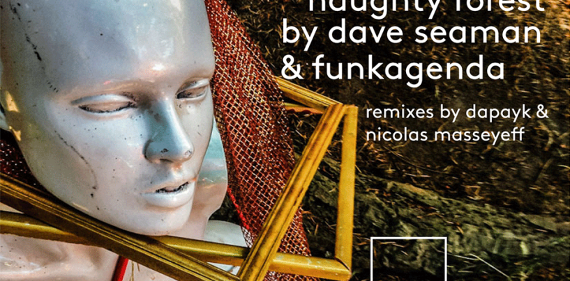 Dave Seaman & Funkagenda – Naughty Forest (Dapayk & Nicolas Masseyeff Remixes) [Selador Recordings]