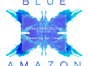 Blue Amazon. Interpretations Mixed by Ian Ossia (Convert Recordings)