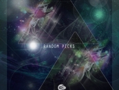 Various Artist – Random Picks [D2 Records]