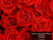Amber Long, Robert Mason, Decker – Apologies [Stripped Digital]