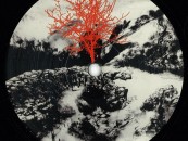 Thomas A.S. – North Lake EP  [Fantome de Nuit]