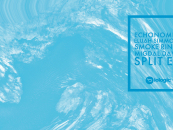 Elijah Simmons & Echonomist – Split EP [Biologic Records]